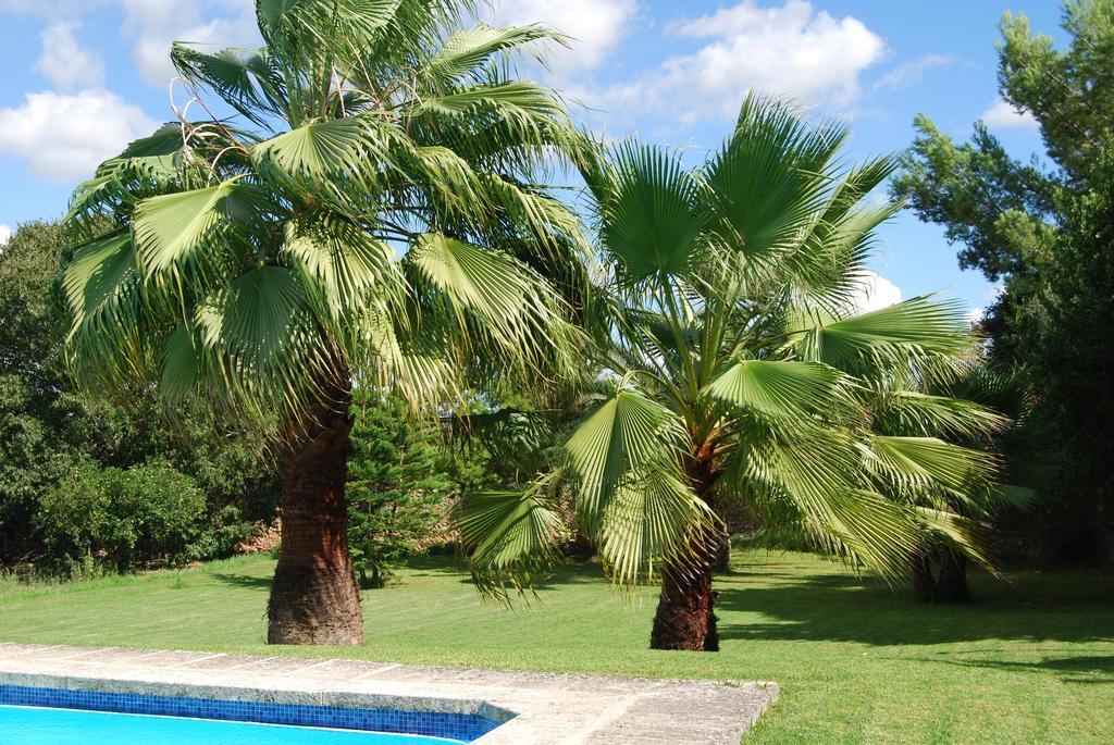 Finca Son Vivot Ngoại thất bức ảnh