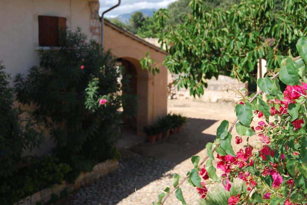 Finca Son Vivot Ngoại thất bức ảnh