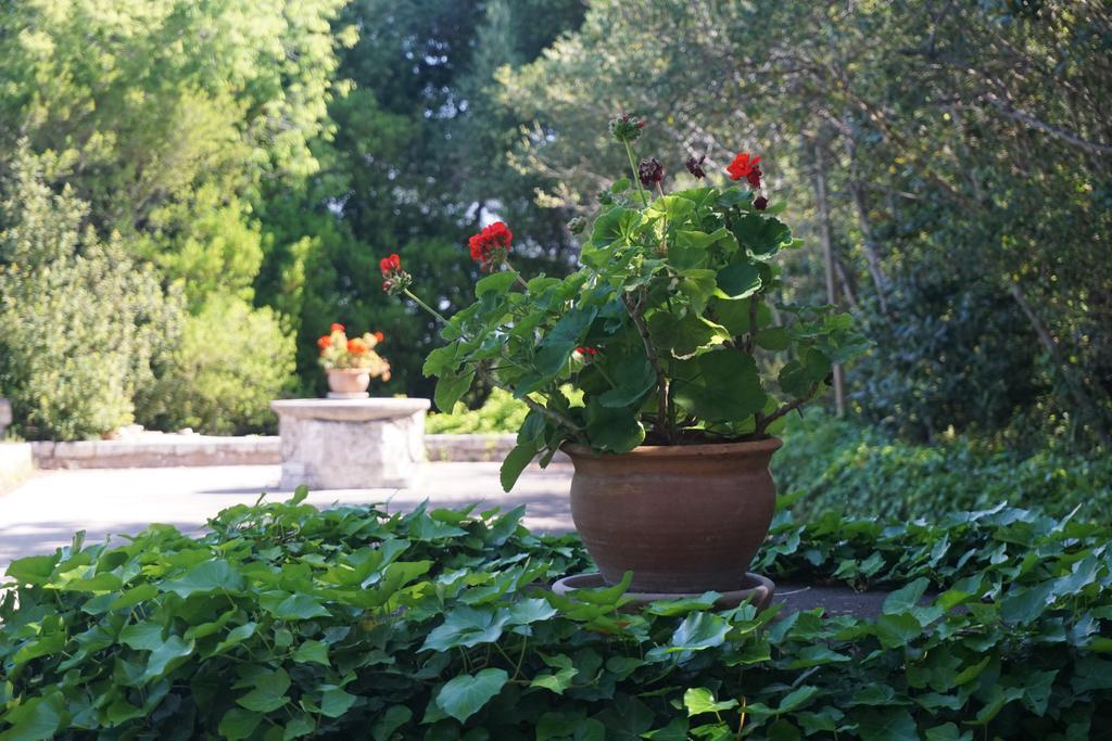 Finca Son Vivot Ngoại thất bức ảnh